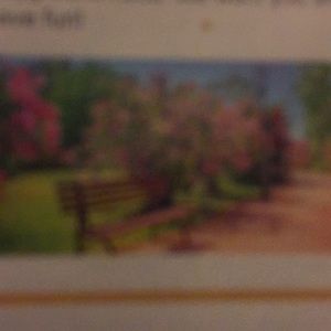 Meet your Posher, Manuel